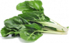Acelga