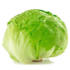 LechugaRepollada