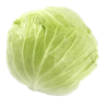 Repollo Blanco