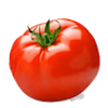 Tomate Redondo