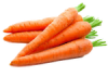 Zanahoria